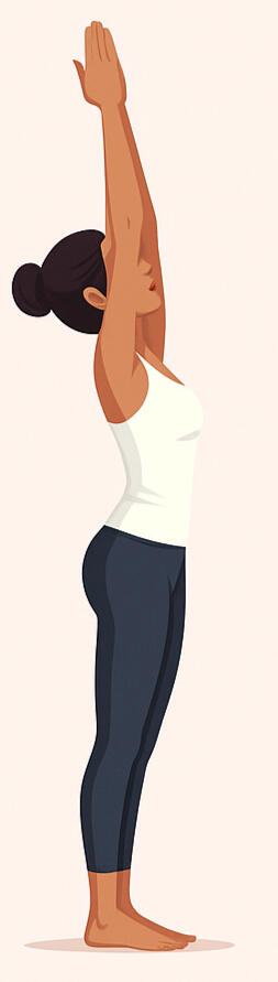 sun salute sun salute